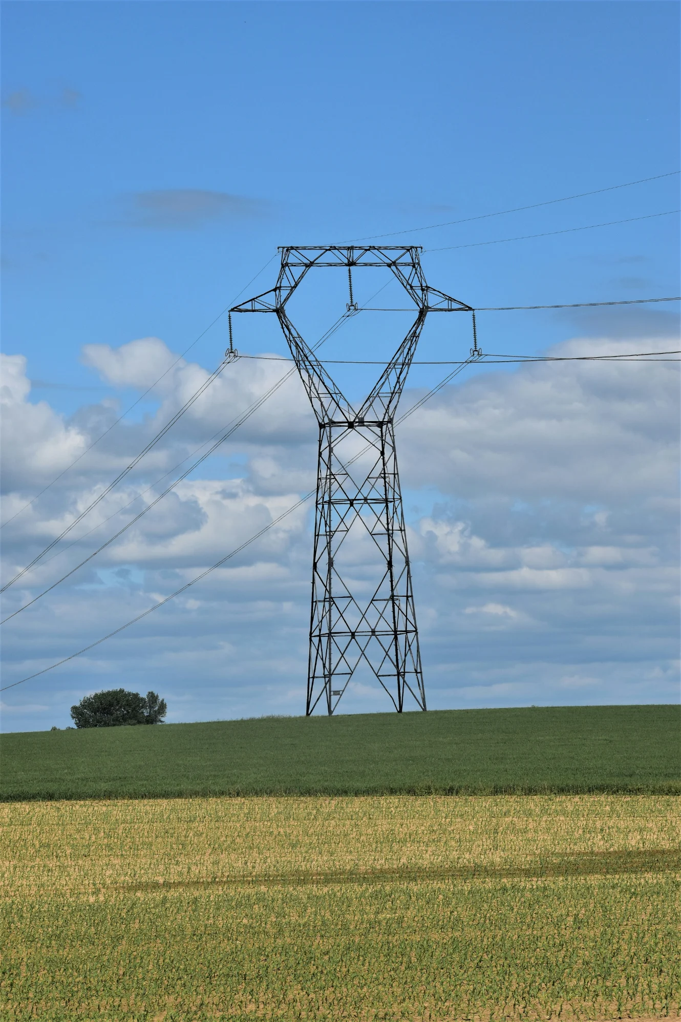 energy savings company MA