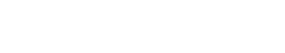 Action-Inc