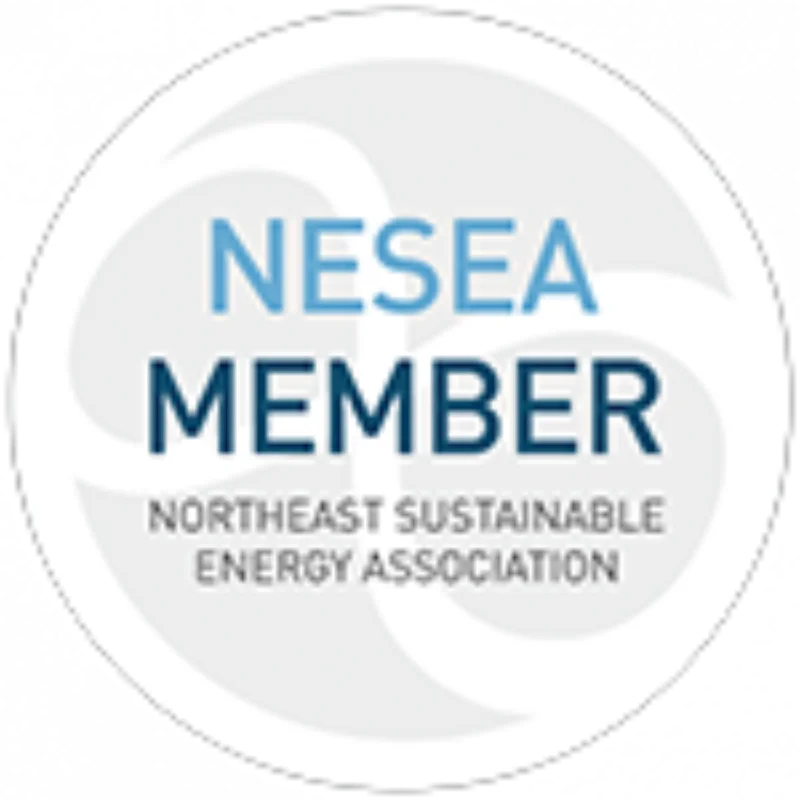 nesea
